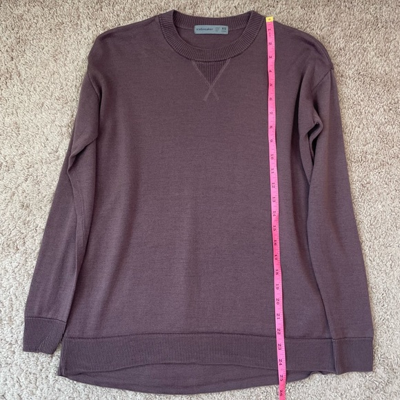 Icebreaker Women's Wool Blend Crewneck Long Sleeve Lightweight Sweatshirt XS - Picture 14 of 16